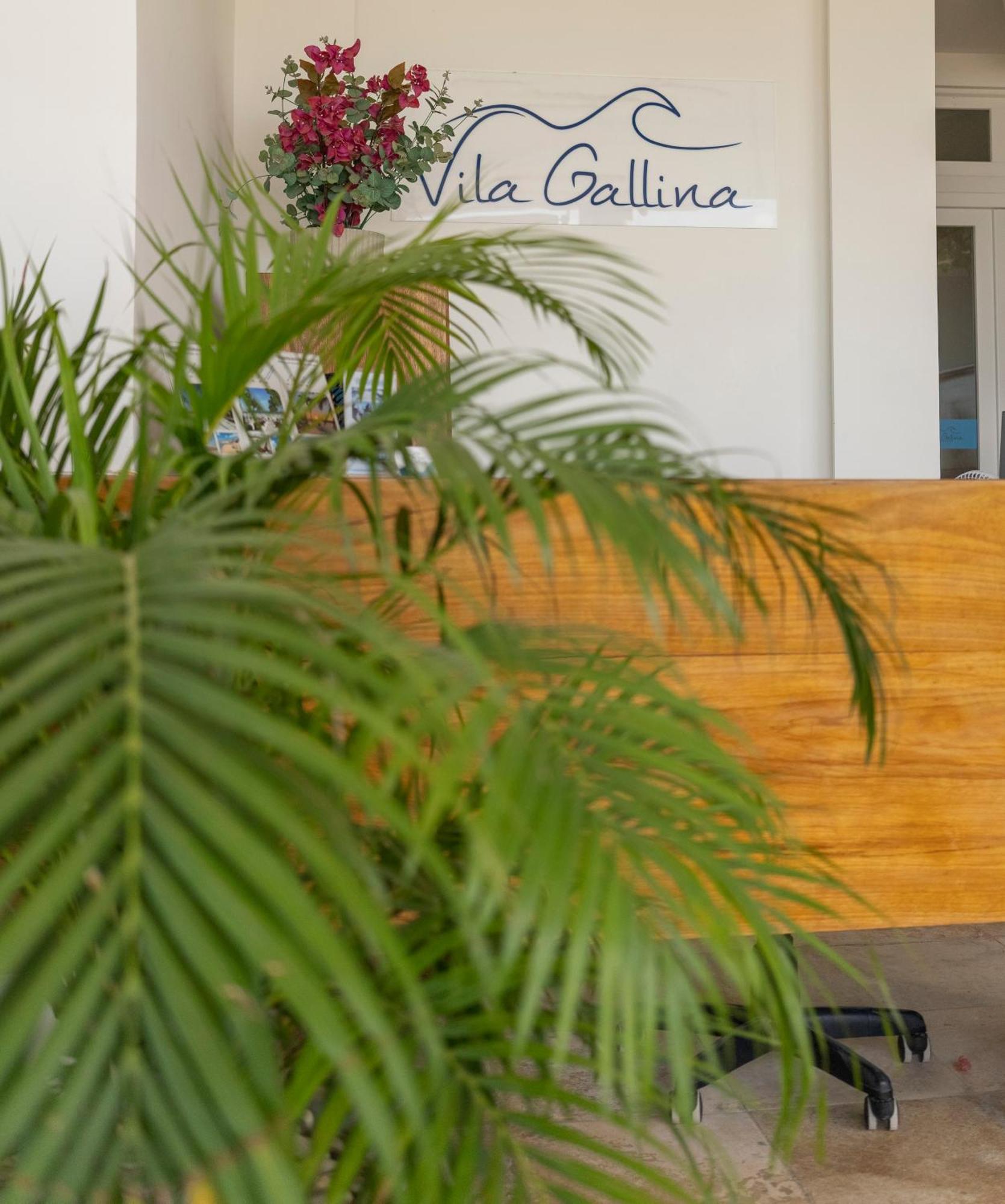 Vila Gallina Pousada Jericoacoara Eksteriør billede